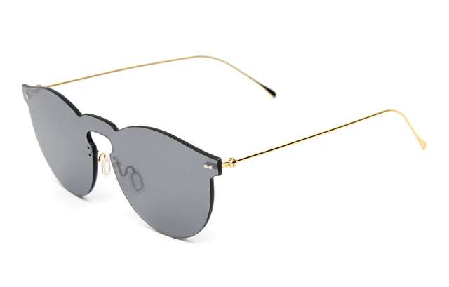 Leonard II Mask Sunglasses Side Profile in Metal / Metal