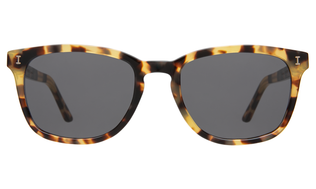 Max Sunglasses front view in Tortoise Grey Flat