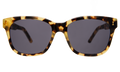 Front view of Mott Sunglasses in Tortoise/Grey