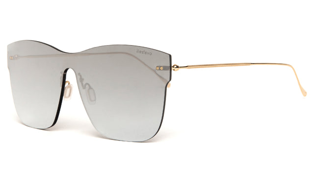 Newbury II Mask Sunglasses Side Profile in Silver / Silver