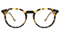 Front view of Sterling Optical in Tortoise/Optical